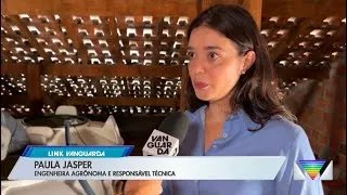 Reportagem: TV Globo · Link Vanguarda Caixa d'água limpa evita o mosquito da dengu